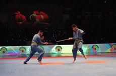 Algerian tournament promotes Vietnamese martial art