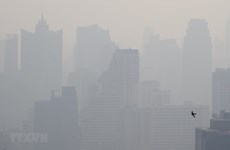 Thailand to take more actions to fight air pollution
