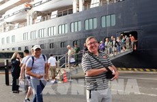 Da Nang welcomes first 1,250 foreign cruise visitors 