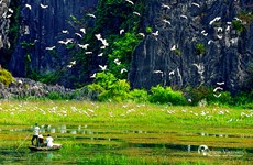 Exploring Van Long Wetland Nature Reserve in Ninh Binh