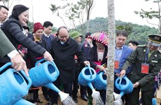 PM launches tree planting campaign in Yen Bai 