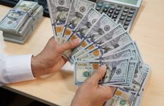 Reference exchange rate up 15 VND on January 30