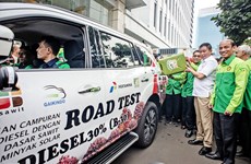 Indonesia to start trial use of 40 percent biodiesel in March