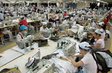 Firms in Dong Nai, Ho Chi Minh City face labour shortage