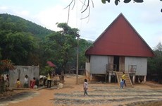 Ethnic villages in Binh Dinh to get electricity 