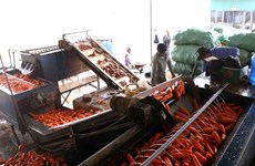 Vietnam eyes stronger cooperation, farm produce trade with US