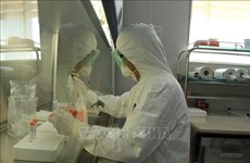 Vietnam now has 6 units to test SARS-CoV-2