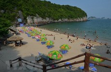 Hai Phong gears up to restore tourism after COVID-19 epidemic