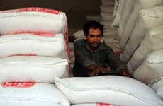 Cambodia’s rice exports surge in first two months