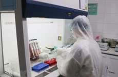 Vietnam successfully produces SARS-CoV-2 test kit 
