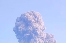 Volcanic eruption forces Indonesia airport closure 