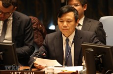 Vietnam calls on UNSC to review sanctions against South Sudan 