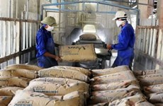 Cement producers face multiple problems