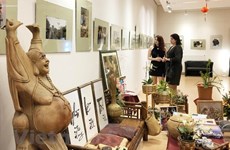 Vietnam’s images highlighted at Hungary exhibition 