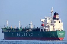 COVID-19: periodic inspection on sea-going ships postponed 