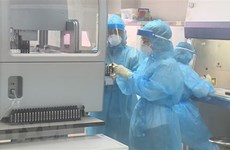 Phu Tho’s hospital authorised to perform SARS-CoV-2 test