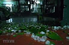 Hail causes damage in northern mountainous provinces  