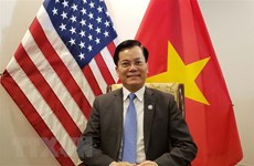 US has no plan to suspend import of Vietnamese garment-textiles: ambassador