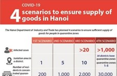 Hanoi outlines scenarios for goods supply amid COVID-19 outbreak