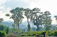 Vietnam helps Laos prepare for UNESCO recognition of national reserve
