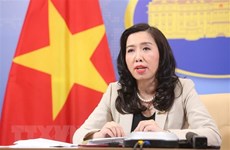 Foreign Ministry spokeswoman speaks about support for Vietnamese abroad to return home 