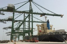 Singapore company invests in container terminals in Saudi Arabia
