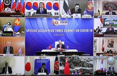 Expert: Vietnam actively promotes regional cooperation in combating COVID-19