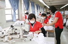 Vietnam could become world’s face mask factory amid COVID-19