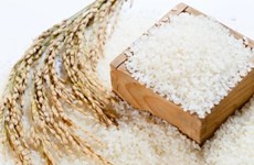 Agriculture ministry proposes maintaining sticky rice exports