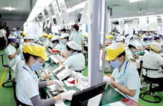 Vietnamese labourers with expired contracts in RoK entitled for 50-day extension