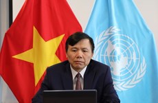 Vietnam backs two-state solution to Israeli-Palestinian conflict