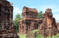 Indian experts helping restore core area of My Son Sanctuary