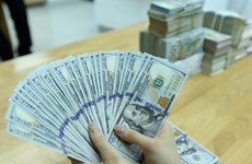 Reference exchange rate down 8 VND