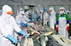 Seafood exports to drop 5 percent in Q2