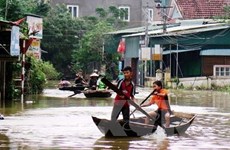Natural disasters cause economic losses of over 1.38 billion USD this year