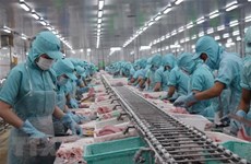 Japanese newspaper: EVFTA to lift Vietnam’s post-pandemic growth