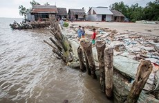 UNICEF to help Ca Mau respond to natural disasters, epidemics
