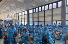 Over 340 Vietnamese citizens return from Taiwan (China) 