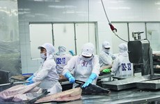 Vietnam’s canned tuna exports to key markets rise