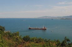 Da Nang, JICA to survey Lien Chieu Port development