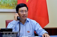 Vietnamese, Egyptian FMs hold phone talks 