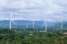 Ha Tinh gives green light to 696.5 million-USD wind power plant