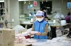 Vietnamese firm exports 1 million masks to US 