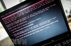 Nearly 1,500 cyber attacks hit Vietnam’s information systems