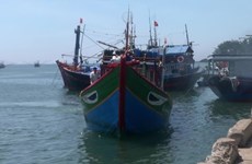 Vietnam requests China to investigate incident related to Vietnamese fishing vessel in Hoang Sa