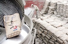 Cement producers urged to be flexible