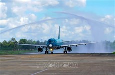 Vietnam Airlines launches three more domestic air routes 