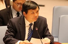 Vietnam calls on parties to fully implement peace agreement in Central Africa