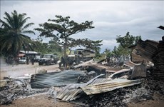 UN Security Council seeks to cope with security challenges in DR Congo