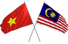 Vietnam-Malaysia relations to see positive changes after signing of RCEP